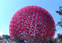 元旦起 台中市民逛花博免錢