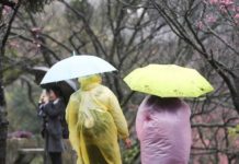 東北季風影響 北台初五全天濕冷