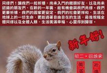 大年初二 心靈得到歸宿