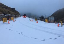合歡山飄雪實施交通管制 上山務必加掛雪鏈才可通行