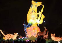 2020台灣江蘇交流燈會 大推台灣燈會吸引陸客賞燈