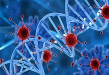 台灣成功分離新型冠狀病毒株 5年內有機會做出疫苗