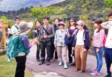 2020竹子湖海芋季及繡球花季 3/27正式開鑼