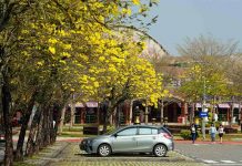 「花」現國道行駛高速公路賞美景