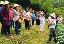 北市助攻都會農友 農業輔導計畫即將開跑