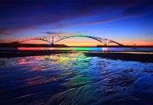 金融業60萬名員工 花費逾30億力挺國旅