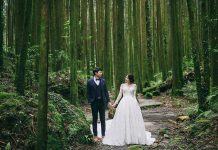 全台最浪漫森林婚禮 2020阿里山神木下婚禮10月24-25日舉行