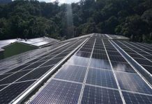 國產署:力推4宗太陽光電標租案 7/15開標