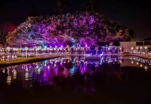 IAA金獎肯定 2020北港燈會躍上國際