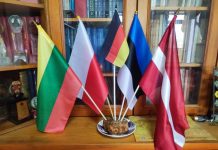 德波波五國世界遺產巡禮 德波波五國不易分辨的條狀國旗 (楊正寬)