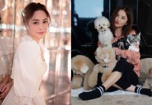 阿嬌蔡卓妍隔空合體 宣佈二十周年演唱