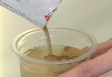 清冠一號究竟在紅什麼?