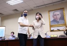 徵召柯志恩/張亞中:敢為高雄先 無奈明月照溝渠