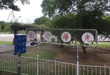 少子化後的兒童公園能讓老人家玩嗎?