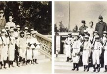 風雨飄搖下的金門少棒