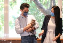 蔣萬安推寵物保險、建構領養教育制度等8大動保政策