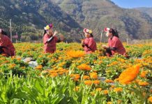 休閒農業區評鑑獲佳績 竹縣再推寶山、新豐