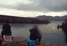 影/詐團車手悠哉漁港釣魚遭圍捕 現場「賣慘」說媽媽生病害他誤入歧途