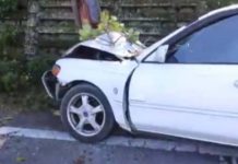 老夫妻開車上路疑因心臟病自撞路樹 90歲丈夫不幸殞命