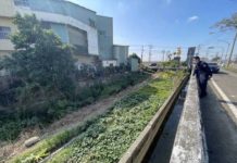 好人不長命!嘉義藥師緊握藥袋陳屍水圳