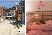 哲人日已遠典型在夙昔:悼念金門東沙王府陳老太夫人