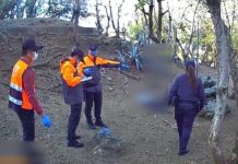 澎湖驚傳命案!39歲房仲陳屍第一賓館旁樹林