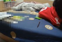 影/男大生缺錢花用淪詐團車手 警上門逮人不忘家中小狗道別