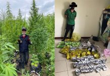 影/查獲學生宿舍藏大麻園! 保三大隊長張躍瀚:黑數不斷攀升