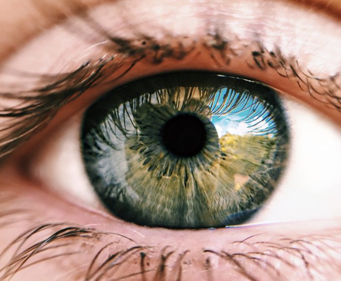 2023-08-11-E4B88BE58D881.56.15