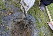 新竹大祕寶出土/棒球場外野挖出電線磚頭 市府:移送檢調 圖/新竹市府提供