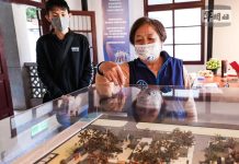 走春好去處/中壢馬祖新村、台中清水眷村 豐富遊客心靈 圖/資料照片、軍聞社提供