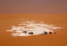 古埃及新玩法 盡覽黑白沙漠篝火野營 圖片提供/埃及INTERPOINT 施婉婷