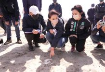 不止棒球場!高虹安揪出南寮風箏賽場也有廢磚碎玻璃 圖/竹市府提供