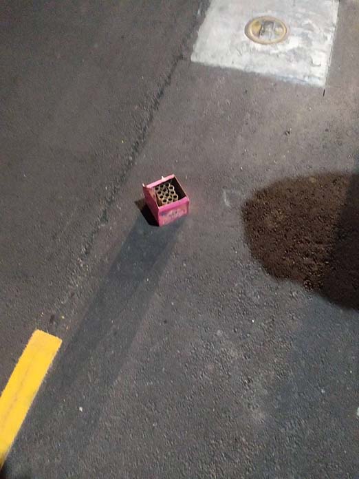 圖／林口分局提供