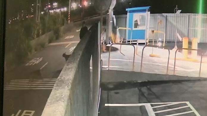 圖／基隆市警察局第二分局提供