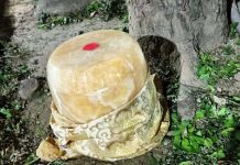 要樹葬?路邊驚見骨灰罈! 警急家屬曝棄置原因 圖/翻攝畫面