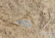 台南孩童公園玩耍發現「墓碑」 工務局:無從考究 南區明和公園發現「墓碑」碎片,引發網友熱議。(圖/翻攝自台南式 )