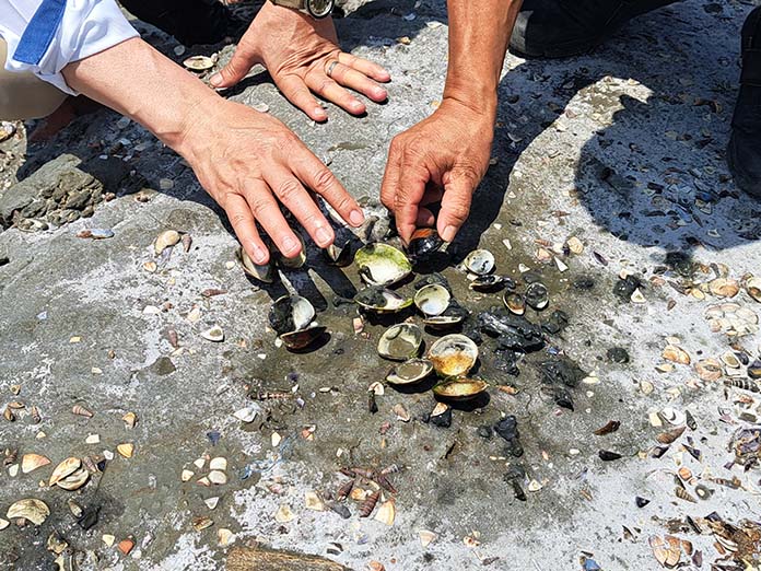 202305101424 水試所研判文蛤受損情況。(圖/台南市農業局提供)