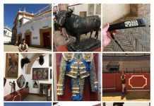 西班牙塞維亞世界文化遺產巡禮