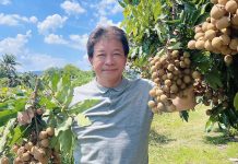 賴清德後院又失火 台南前議長郭信良因10年前舊案遭聲押 圖/郭信良臉書