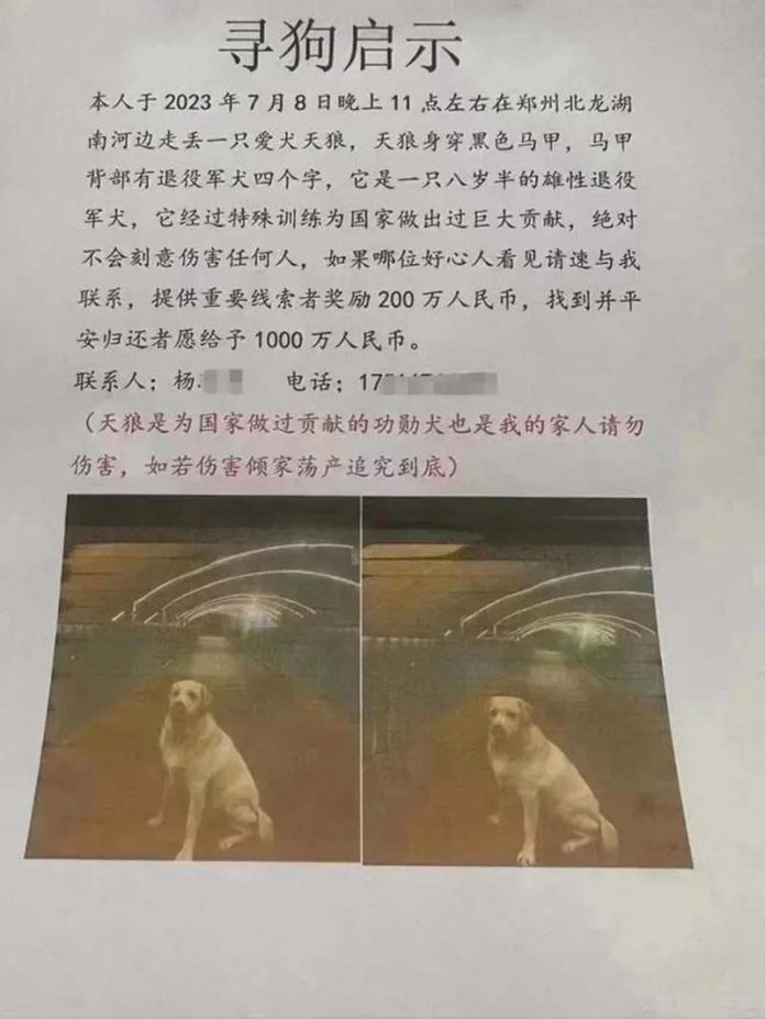 狗狗失縱一天後，鄭州流浪動物領養中心已貼公告，表示狗狗已經找到了。圖／取材微博
