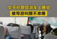 雲南麗江遊 車上睡覺導遊怒罵不尊重 圖/擷取自齊魯晚報