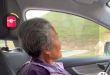 從山東到拉薩,71歲奶奶開車旅行遊川藏「我們下次要去新疆」 圖/取自潮新聞
