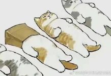 陸流行「四不青年」 躺不平捲不起 圖/取自微博