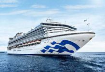 日本東高自由行新玩法 飛機、郵輪互串行程更豐富多元 圖/大脚旅行社