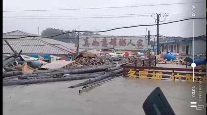 河北涿州木材市場水深最高約5公尺。圖／轉引澎湃新聞
