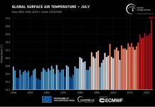 地球沸騰 史上最熱7月 彭啟明:這紀錄誇張到令人擔心 世界氣象組織數據顯示,從1940至2023年7月份的全球平均氣溫中,今年7月來到前所未有的高溫紀錄。圖/翻攝自世界氣象組織
