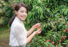 「公衛文」高虹安詐領助理費案 不認罪 律師:檢察官要她去關 圖/擷取自高虹安