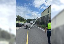 貨車撞倒電線桿 勾倒女騎士慘摔車 圖/翻攝畫面、林口區公所提供