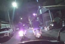 狡猾通緝犯囂張逆向行駛人行道 遭逮下一秒還想尿遁 圖/翻攝畫面、鳳山分局